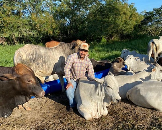 “Boiada braba, hein?”, brinca pecuarista montado no lombo de boi confinado