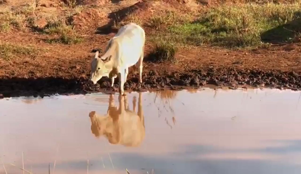 Tenho dificuldade de instalar bebedouro para o gado na fazenda. Qual a alternativa?