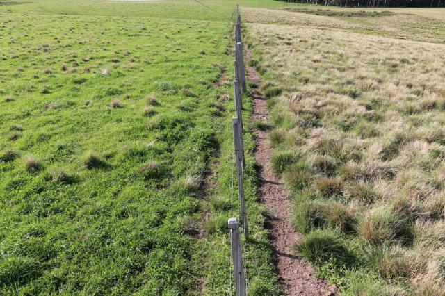 Agrônomo faz alerta para que pressão por sustentabilidade não crie “apartheid rural”