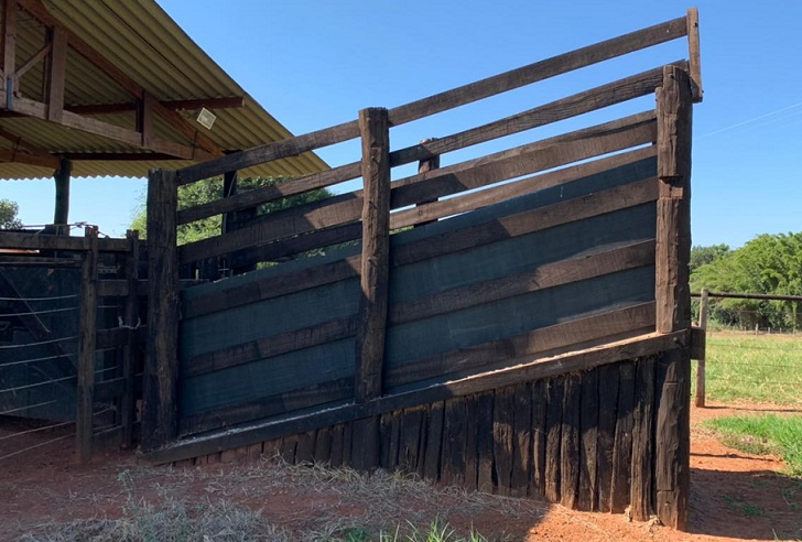 Pecuarista exibe detalhes do embarcadouro que melhoram bem-estar do gado no pré-abate