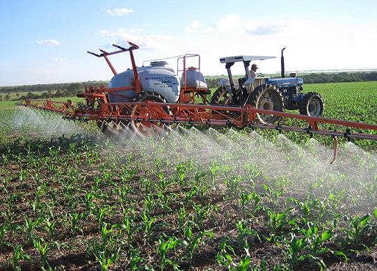 Bioinsumos reforçam capacidade do solo se regenerar criando vida