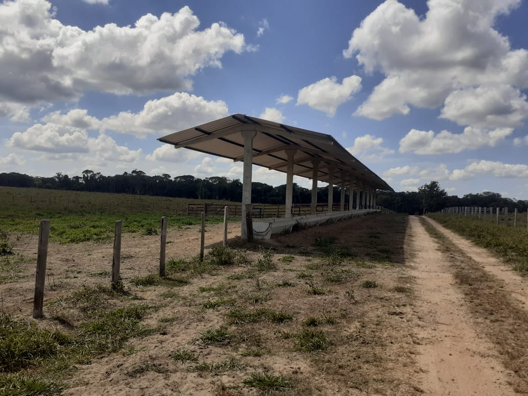 Fazenda em RO constrói fabrica de ração para acelerar engorda do gado cruzado; veja lotes de 14/06/21