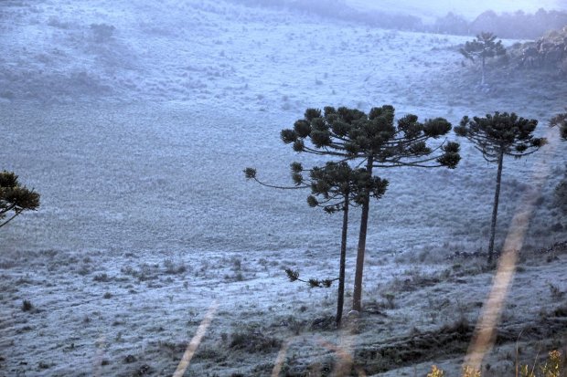 Semana deve começar com neve no Sul e queda de temperaturas pelo Brasil