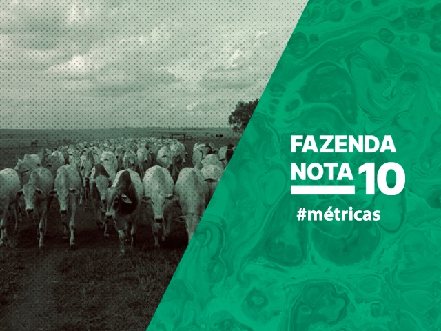 A mudança pelas métricas