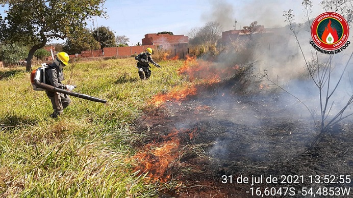 Parceria estabelece aliança para combater focos de incêndio no Pantanal