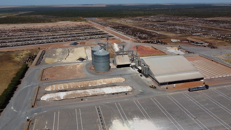 Confinamento ajuda a transformar região do Matopiba na nova “fronteira do boi”