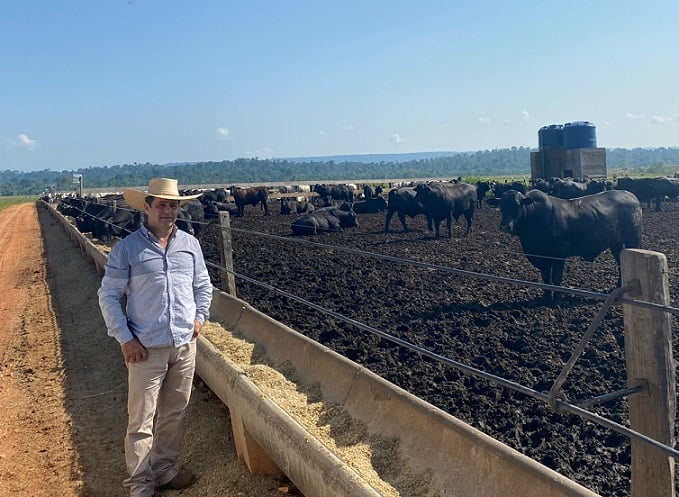 Confinamento no PA se destaca pela qualidade da engorda de bois e novilhas; veja lotes de 29/09/21