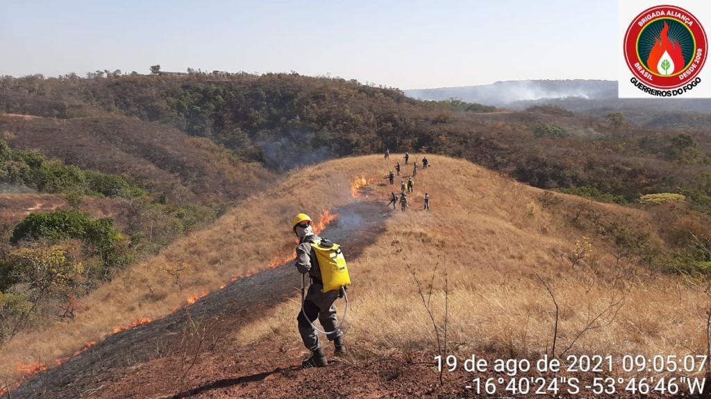 Guerreiros do fogo: brigadistas capacitam população de MT a combater incêndios