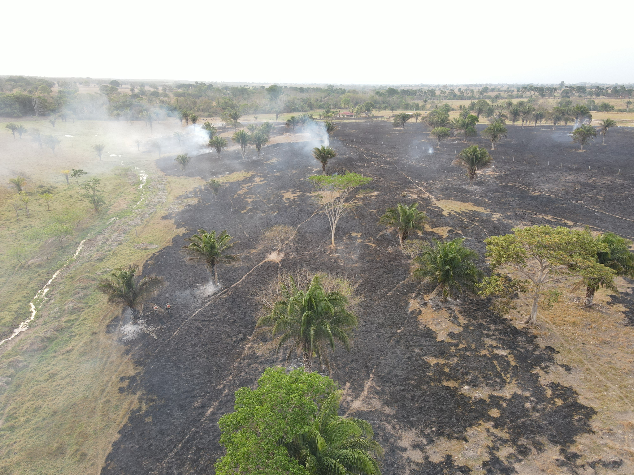 Tempo seco vai persistir e fazendas continuam em alerta