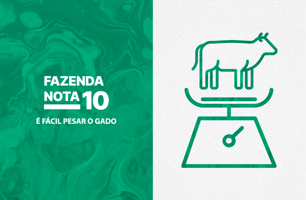 Não tem balança? Fale com o time do Fazenda Nota 10