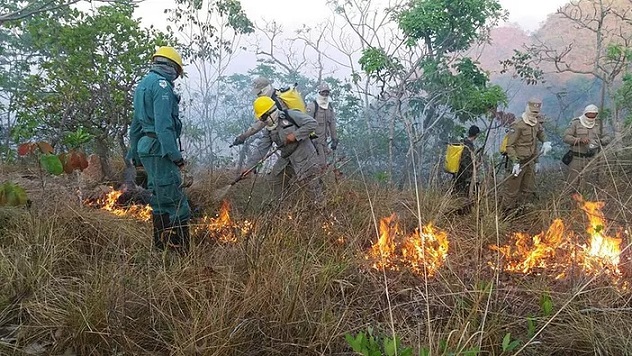 Brasil reforça estratégias para prevenir incêndios florestais em 2025