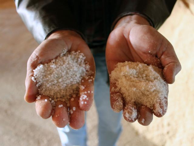 suplementação para bovinos de corte ureia agricola