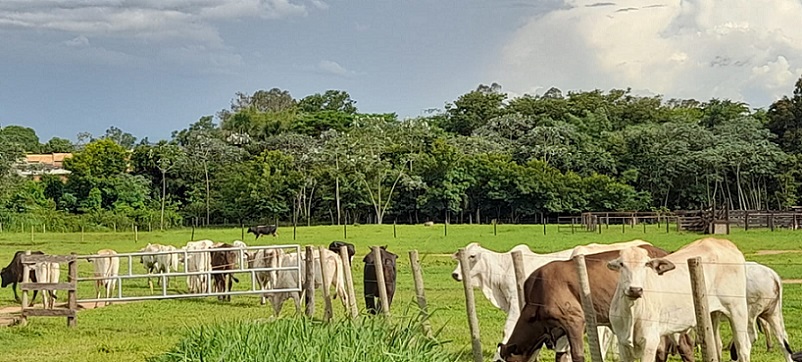 escritório verde em pedra preta-mt