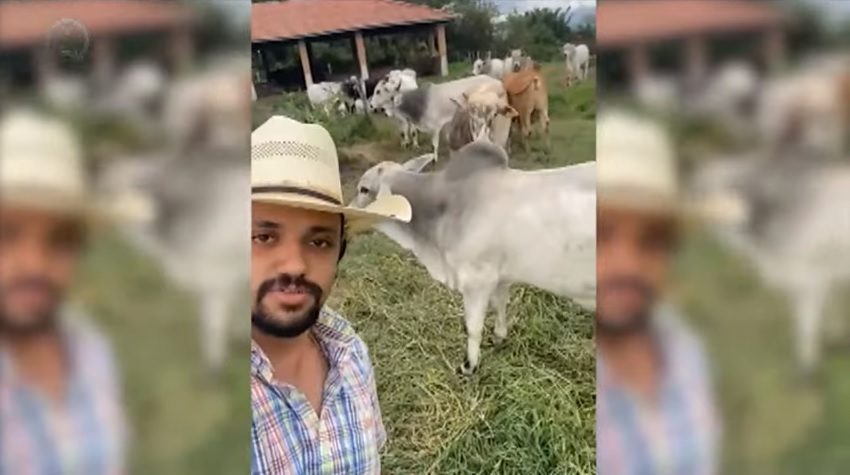 recria intensiva a pasto fazenda água preta pindamonhanbaga-sp victor darido