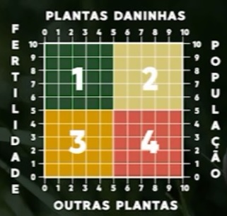 recuperação e reforma de pastagens gráfico melhor escolha