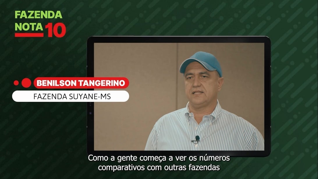 fazenda nota 10 depoimento benilson tangerino fazenda suyane mato grosso do sul