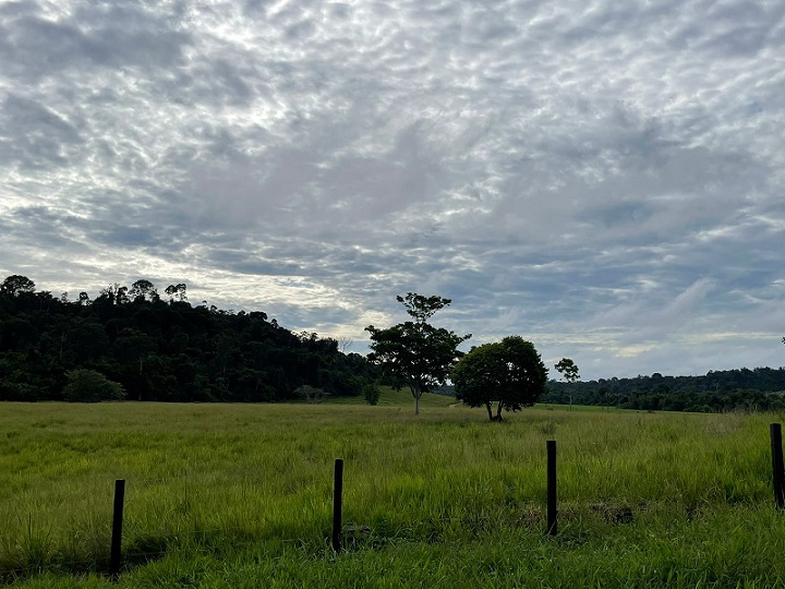 consultoria ambiental no pará tocantins marabá tucumã araguaína escritórios verdes