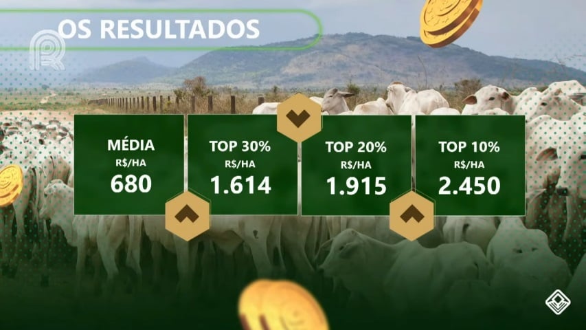 rentabilidade do gado de corte ciclo completo safra 2020/2021 resultados financeiros