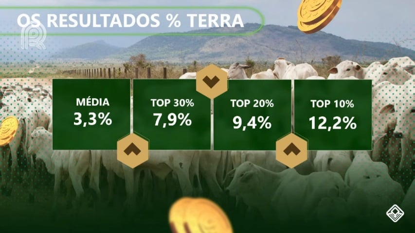 rentabilidade do gado de corte ciclo completo safra 2020/2021 resultado sobre valor da terra