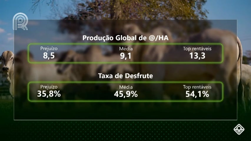 rentabilidade do gado de corte ciclo completo safra 2020/2021 produção de @/ha taxa de desfrute