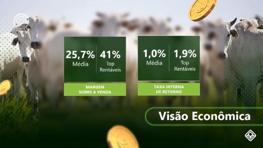 rentabilidade do gado de corte ciclo completo safra 2020/2021 margem sobre a venda taxa interna de retorno