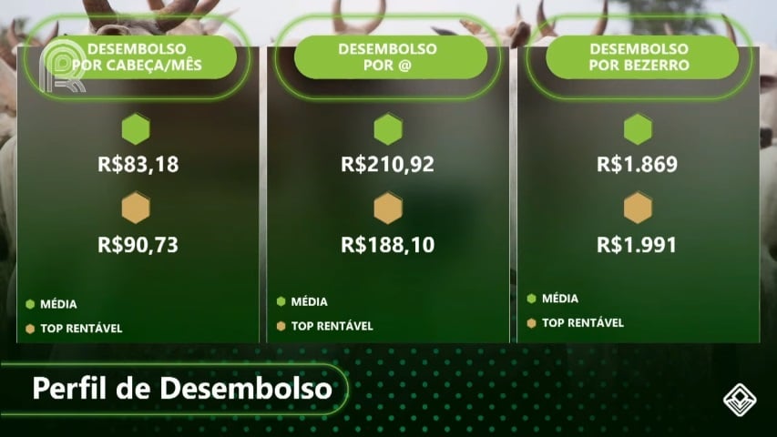 rentabilidade do gado de corte ciclo completo safra 2020/2021 perfil desembolso cabeça mês por arroba por bezerro