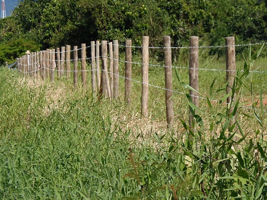 condomínio rural