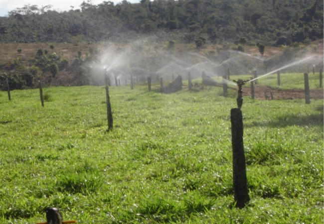 Pasto fertirrigado é boa pedida para produção de silagem na seca