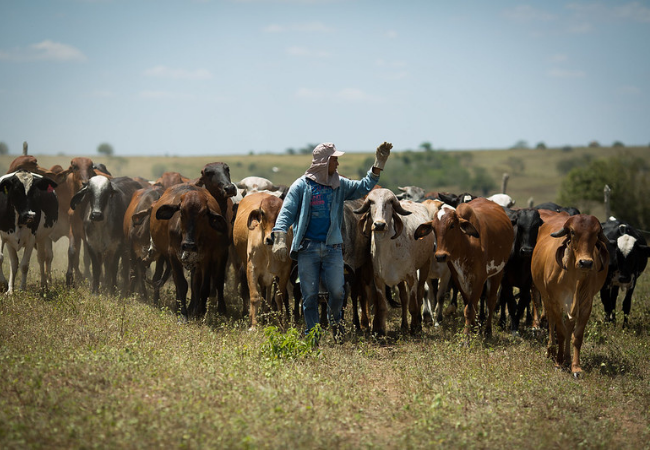 Pequeno produtor rural pode controlar os processos de RH da fazenda?