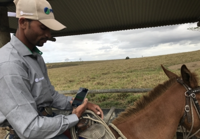 Inteligência artificial da Prodap contecta todos os na fazenda. Foto: divulgação