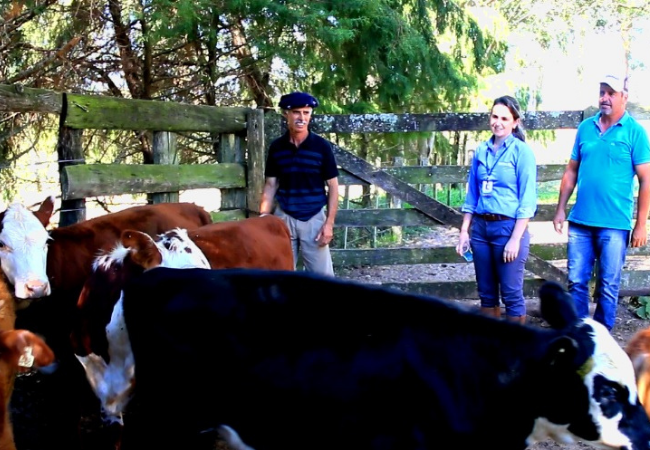 Visita de técnicos da Embrapa em propriedades familiares. Foto: Divulgação/Embrapa Pecuária Sul