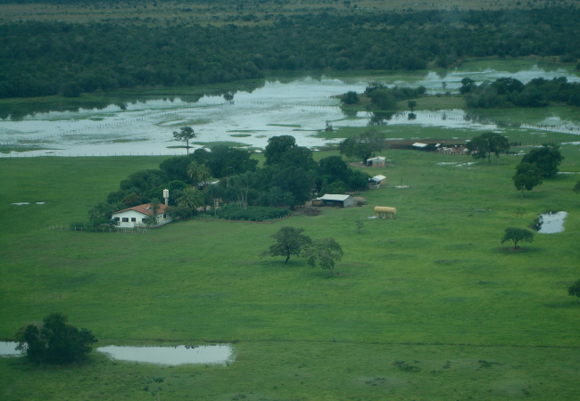 Vista aérea de propriedades de pecuária no Pantanal em Mato Grosso do Sul. Foto: Divulgação/ABPO
