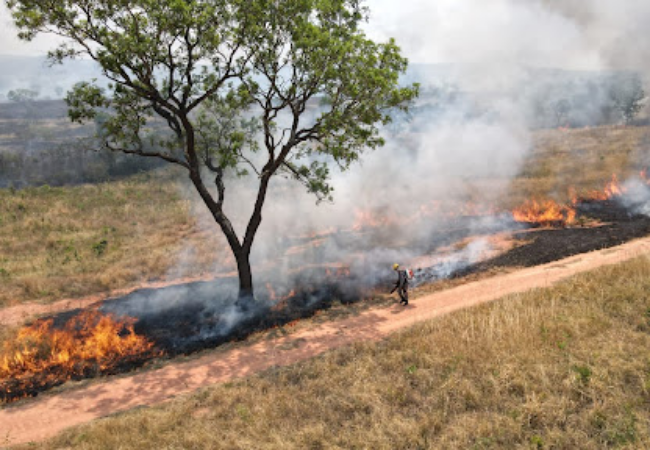 Trabalho de combate a incêndios através da Brigada da Aliança da Terra. Foto: Divulgação/Aliança da Terra