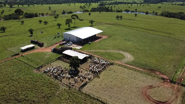 Pecuarista desponta com mais 55% de rendimento de carcaça em seu gado