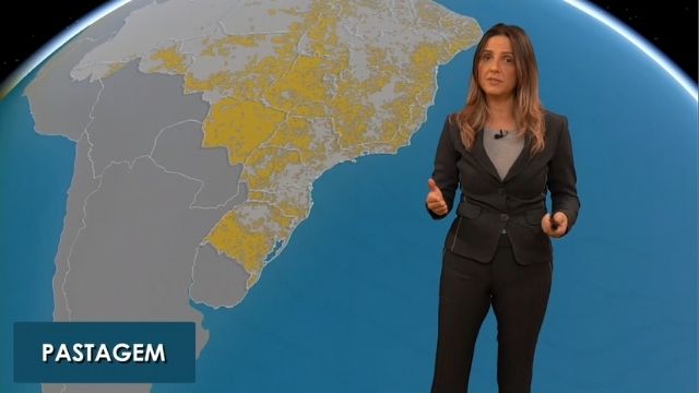 Chuva traz alívio para áreas de pasto ao sul do País   