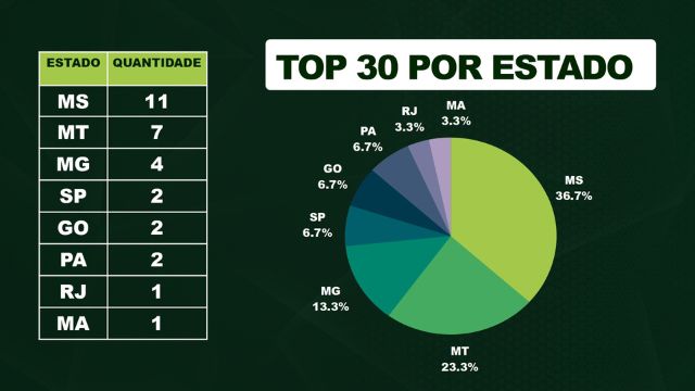 Ranking dos Top 30 participantes por Estado