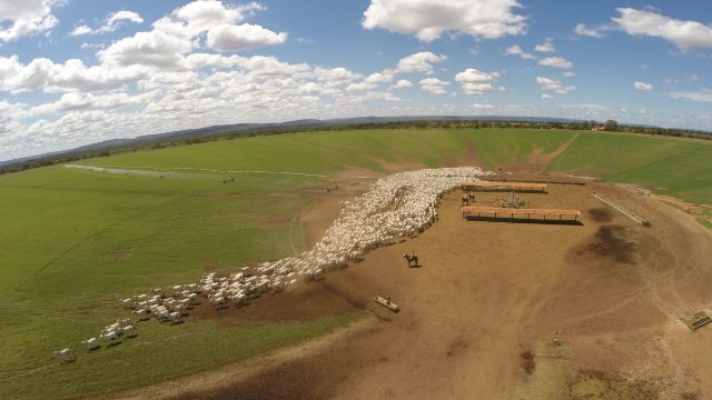 Quais as novidades da próxima temporada do Fazenda Nota 10?