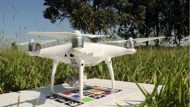 Boi gordo e high-tech! Drone poderá até salgar o cocho no pasto, prevê cientista