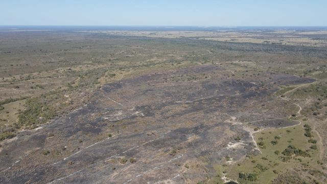 Brigada evita queimada de área de 1,5 mil hectares em Mato Grosso