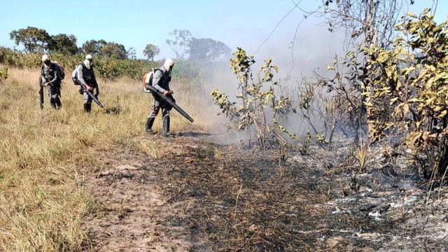 Operação de combate a indêndio em Poconé (MT). Foto: Divulgação