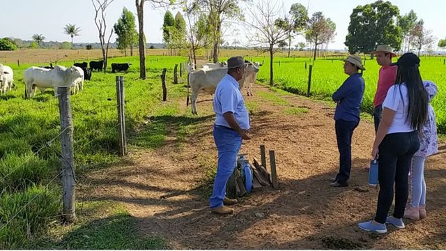 Pecuarista dá a receita de produzir 660 arrobas de boi por hectare em Rondônia