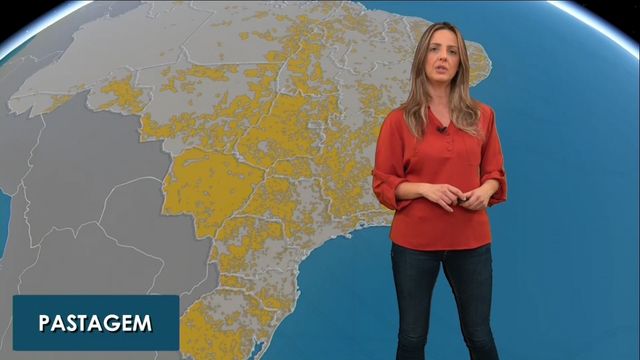 Saiba onde chove ou não em áreas de pasto na próxima semana