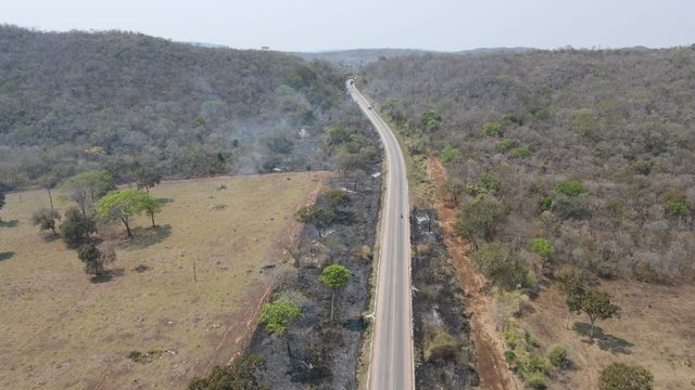 Pantanal a salvo! Brigada de incêndio já combateu 50 incêndios este ano na região