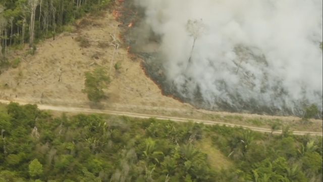 Brigada Aliança da Terra Friboi monitora mais de 9 milhões de hectares no País