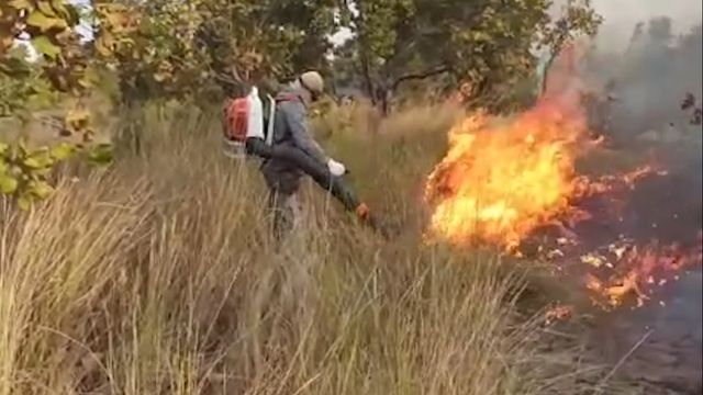 Trabalho de brigadistas no combate a incêndios na região do Pantanal. Foto: Reprodução