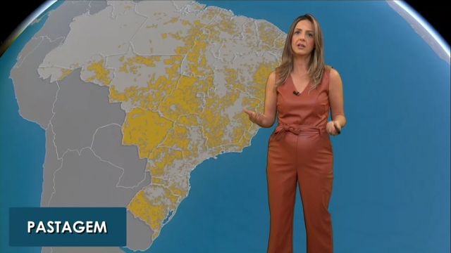 Chuva cai, mas não alivia os pastos no País. Saiba as áreas mais críticas