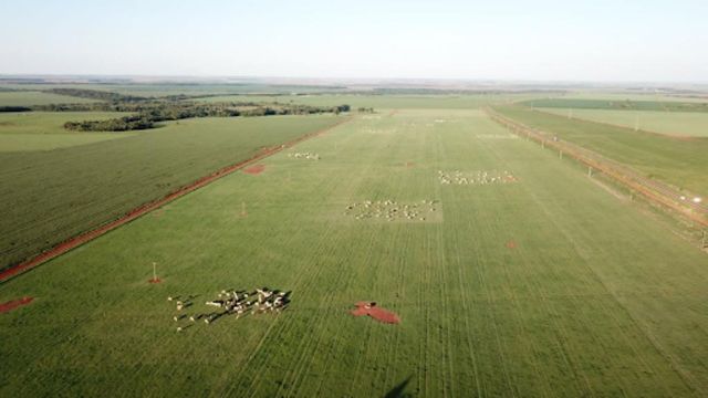 Vista áera da produção de bovinos a pasto da fazenda Campanário. Foto: Divulgação