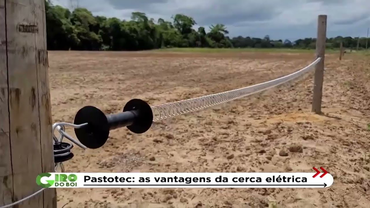 Cerca elétrica instalada na fazenda. Foto: Reprodução