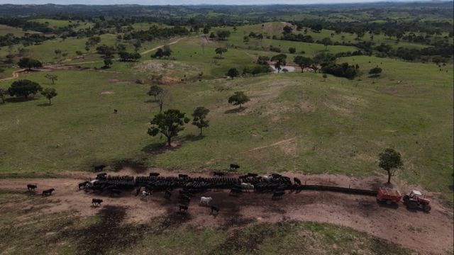 Quanto de fósforo deve ser misturado ao proteico energético para o gado?