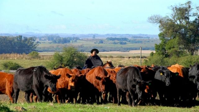 Embrapa mostra como é possível produzir alimentos de forma sustentável no Pampa